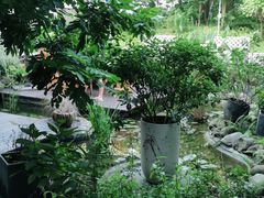 -墨居上隐·院子里火锅(峨眉店)