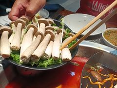 -华晟山城火锅(开发区港西东阁里店)