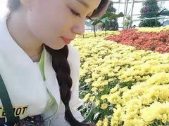 -大港湿地公园