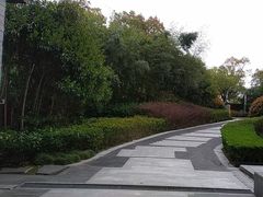 -上海崇明金茂凯悦酒店