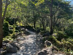 -大岭沟猕猴桃谷风景区