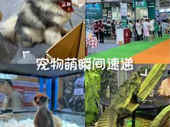 -宁波国际会展中心
