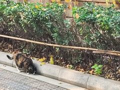 -曹禺故居纪念馆