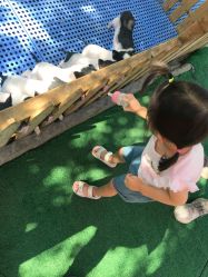 -萌宠亲子动物乐园(槐房万达店)