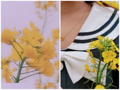 -紫颐香薰山谷景区