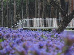 -四海公园(南山区)