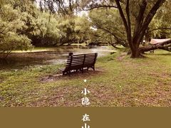 -上海共青森林公园