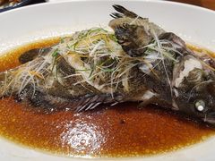 -頂好酒家·经典粤菜(海信广场店)