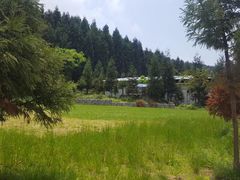 -武陵山森林公园