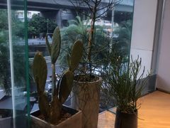 -我的四季意大利餐厅(春天百货店)