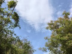 -唐城墙遗址公园