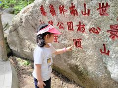 -王顺山国家森林公园