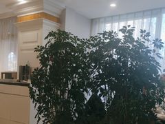 -新疆兵团食府清真(马连道店)