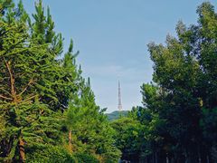 -大蜀山国家森林公园