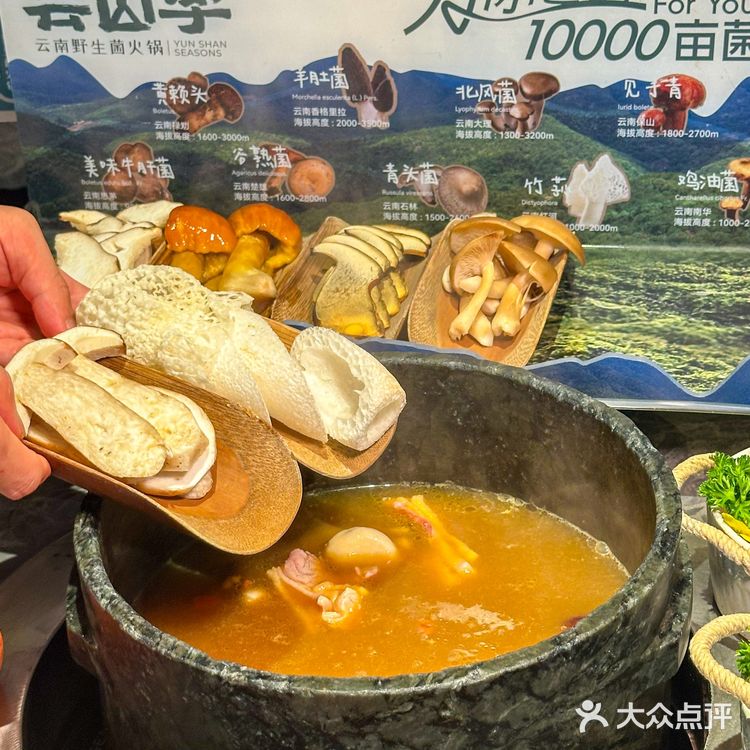 这一口云南野生菌火锅我连吃了三天！！