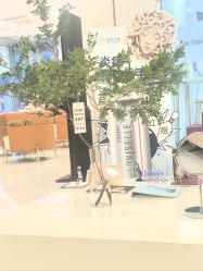 -贞禾轻医美·连锁