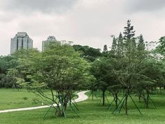 -荔香公园