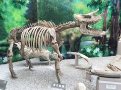 -中国地质大学逸夫博物馆