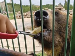 -鄂尔多斯野生动物园