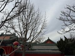 -聚德华天烤肉季·宴会厅(什刹海总店)