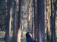 -华南国家植物园-售票处