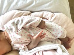 -海豚湾高端月子会所(黄浦店)