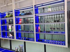 -鲸渝眼镜·浅目视光(春熙路店)