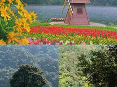 -广州市石门国家森林公园