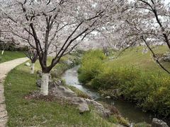 -羊山湖公园