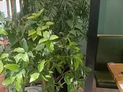 -去茶去餐厅(中央大街店)