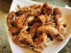 -永红源啤酒·烧烤·海鲜·大排档(青特城店)