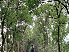 -同里国家湿地公园