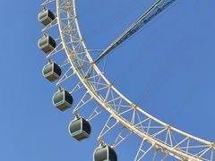 -济南国际园博园