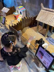 -酷嗒动物文化乐园(cutezoo西溪乐天城店)