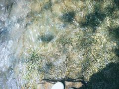 -黄花溪