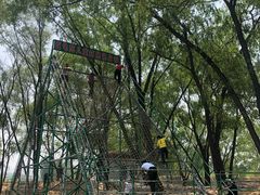 -东方巨龟苑景区