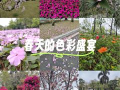 -文华公园(禅城区)