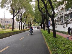-上海财经大学(国定路校区)
