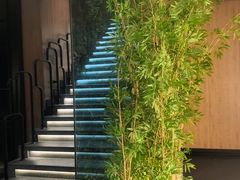 -新紫霞养生·影院足道·SPA(金山区店)