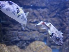 -常州海昌海洋探索馆