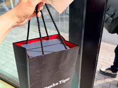 -Onitsuka Tiger