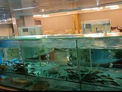 -金龙渔港(双楠店)