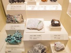 -天津自然博物馆