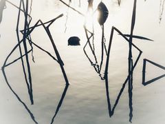 -西湖游船