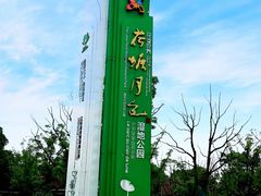 -荷塘月色湿地公园·向阳花洲