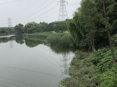 -九里河湿地公园