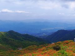 -大围山国家森林公园