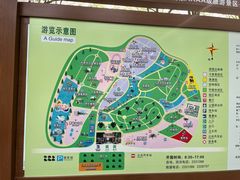 -广东茂名森林公园