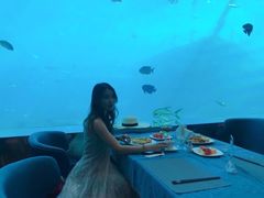 -瑞德姆美人鱼海底演艺主题餐厅(亚龙湾店)