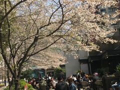 景观位-玛格萝妮比萨屋(四平店)